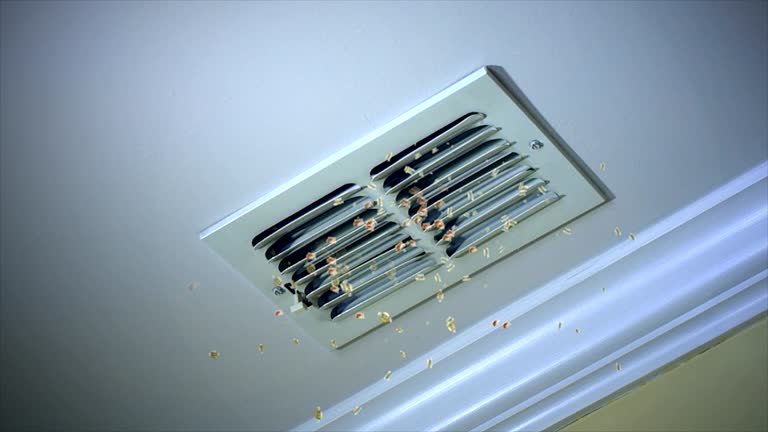 Best Dryer Vent Cleaning Services  in San Jose, CA